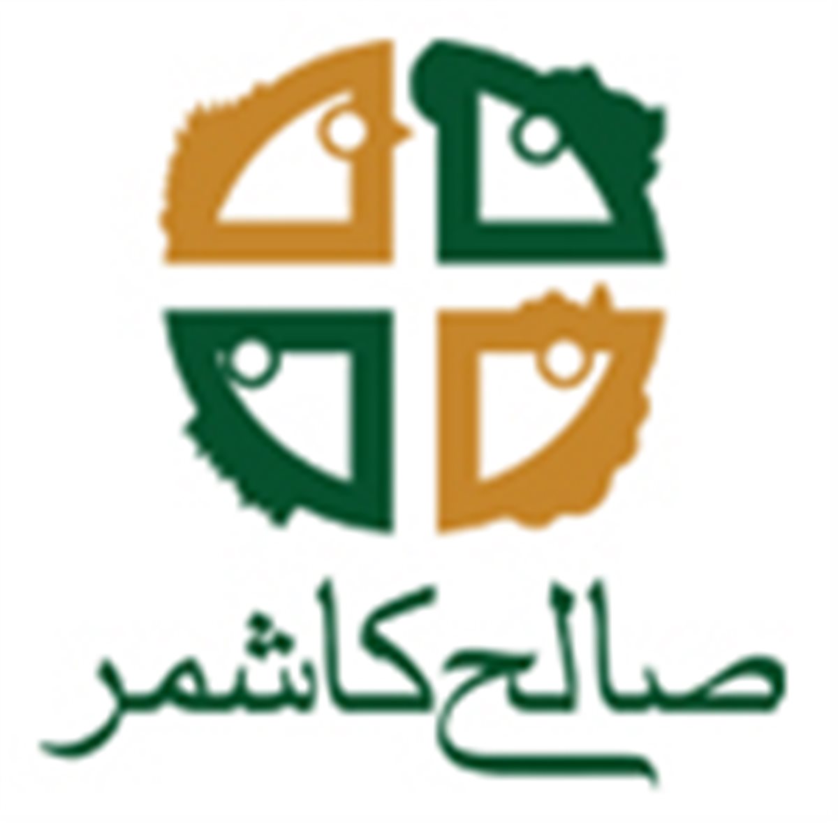صالح کاشمر