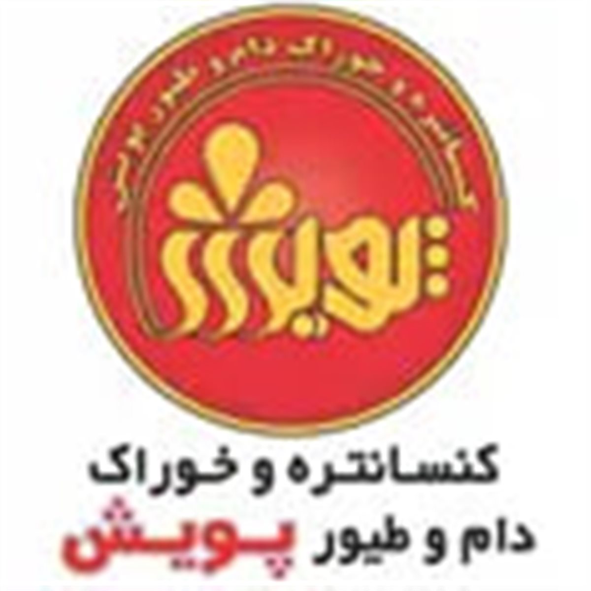 پویش دانه زنجان