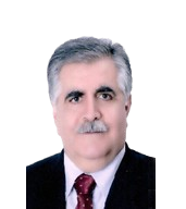 سید علی خیریه