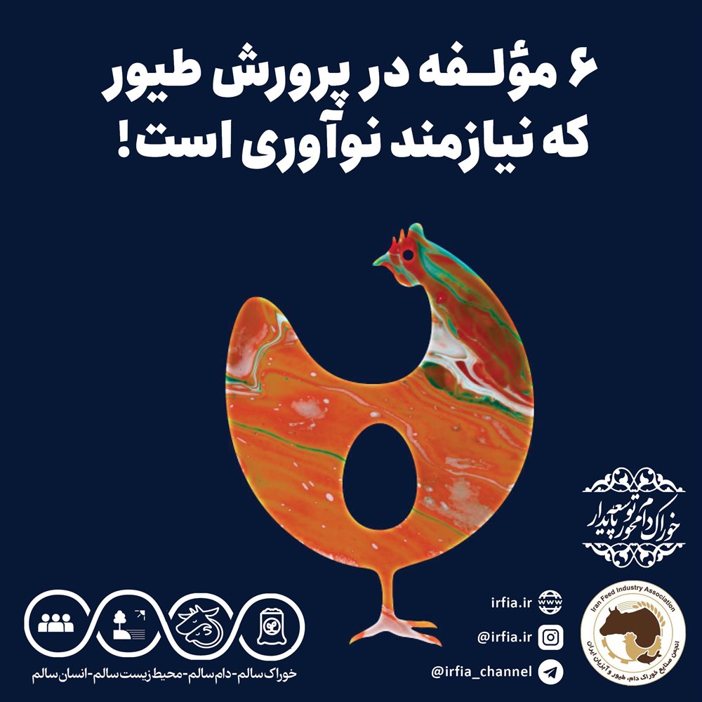 6 مؤلــفه در پرورش طیور که نیازمند نوآوری است