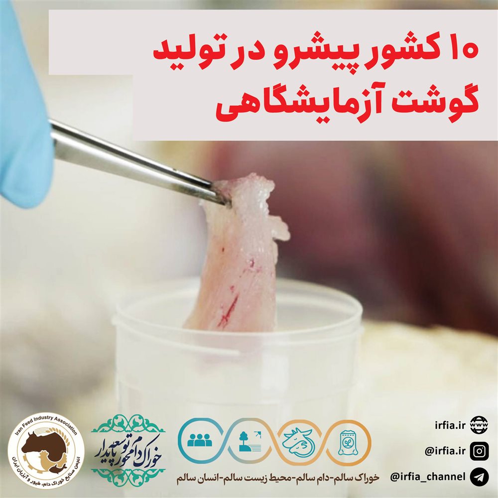 10 کشور پیشرو در تولید گوشت آزمایشگاهی