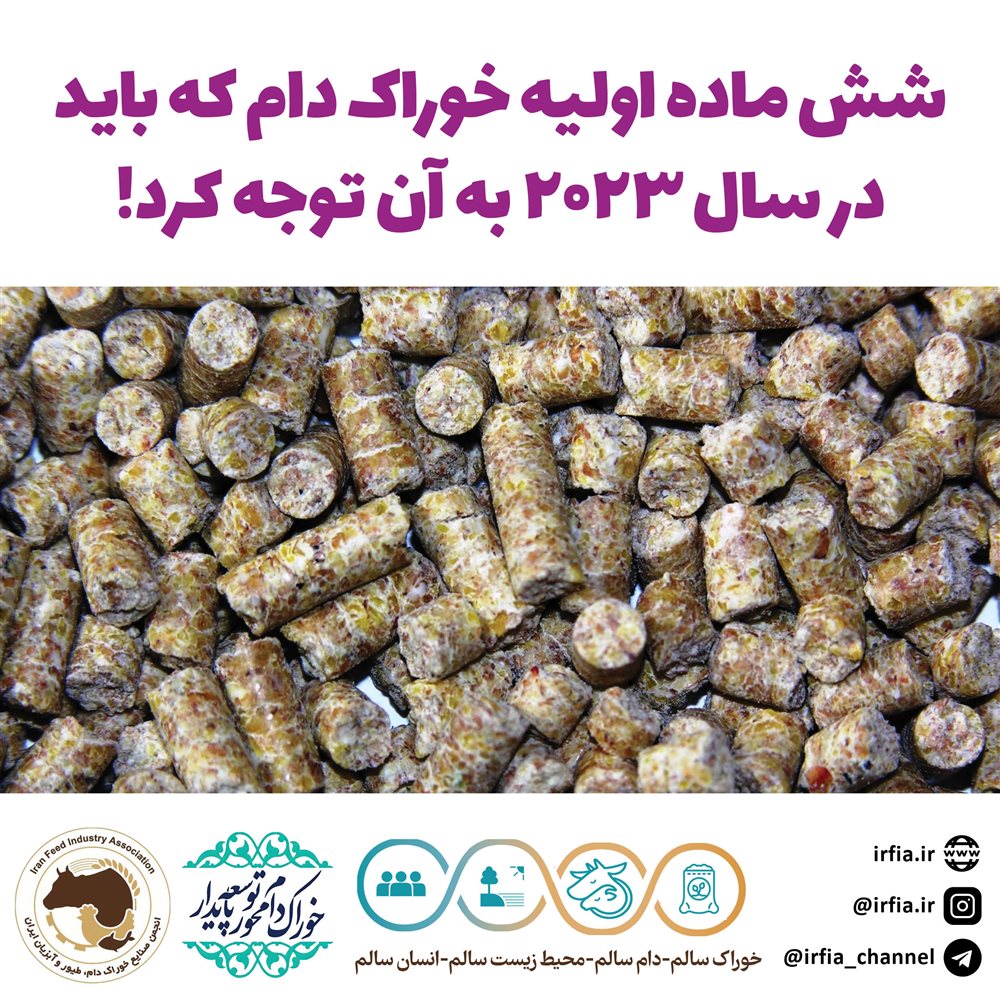 شش ماده اولیه خوراک دام که در سال 2023 باید مورد توجه قرار گیرد