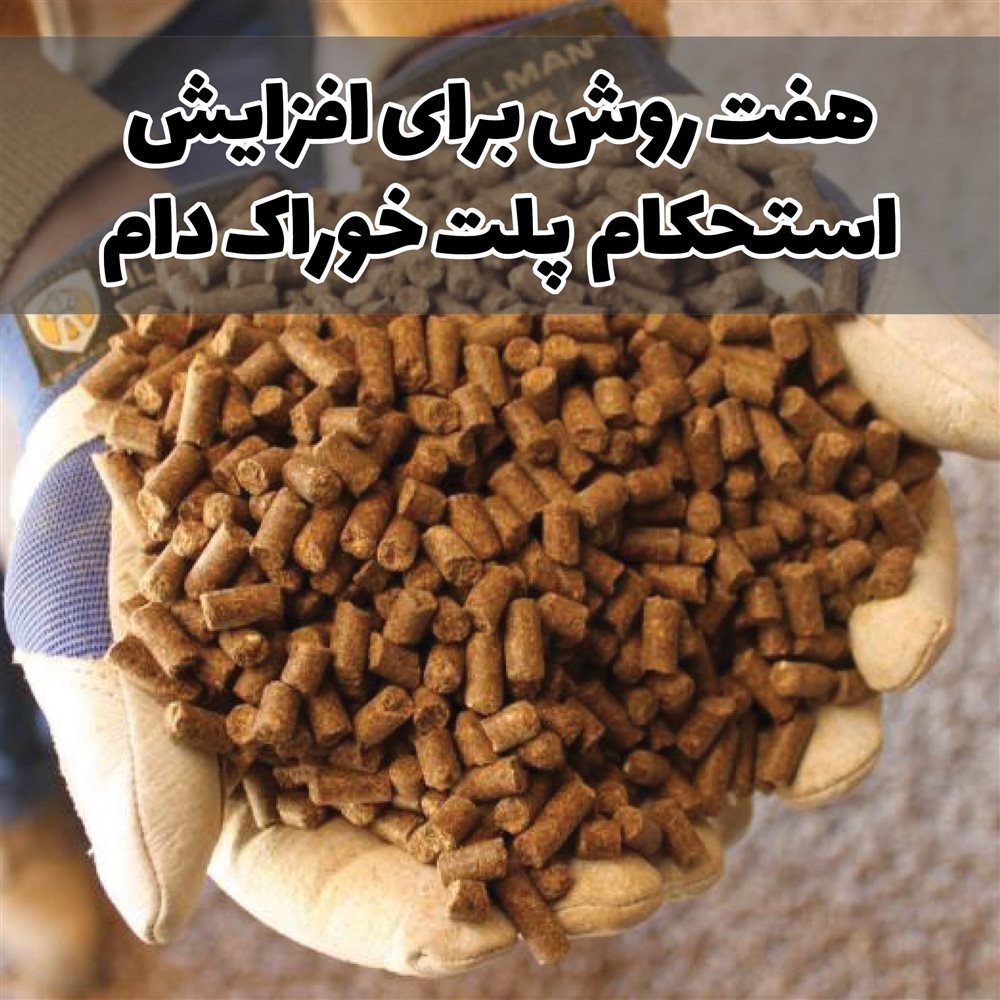 هفت روش برای افزایش استحکام پلت خوراک دام