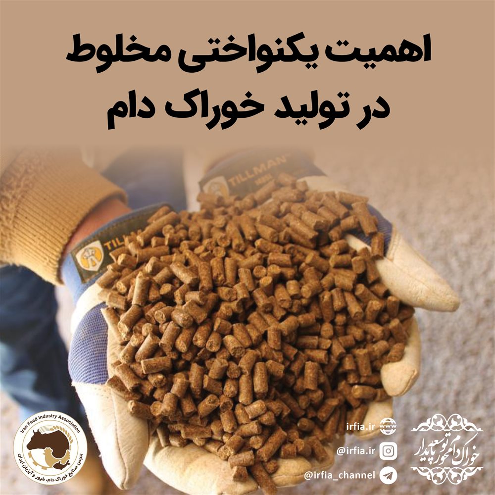 اهمیت یکنواختی مخلوط در تولید خوراک دام