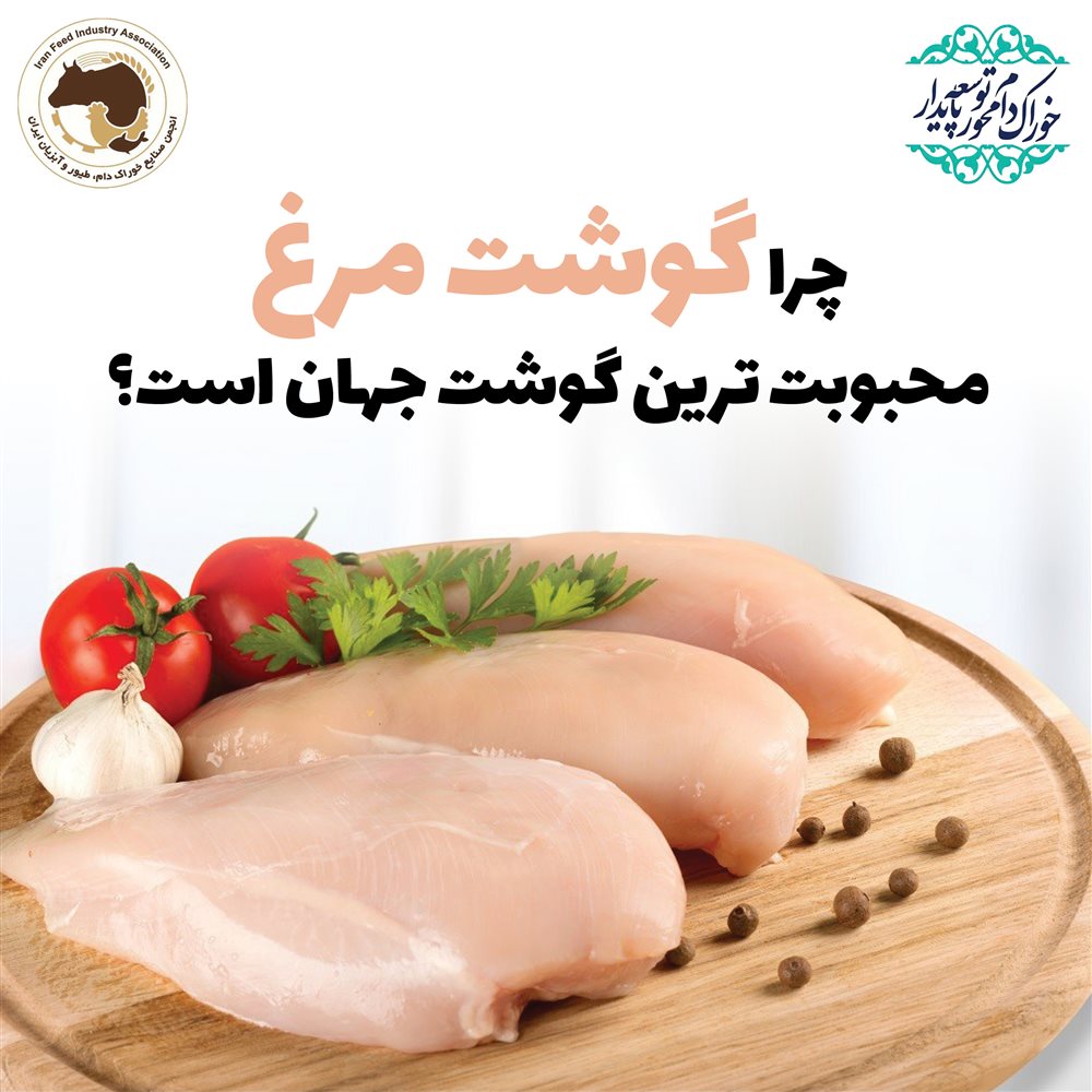چرا گوشت مرغ محبوبت ترین گوشت جهان است؟
