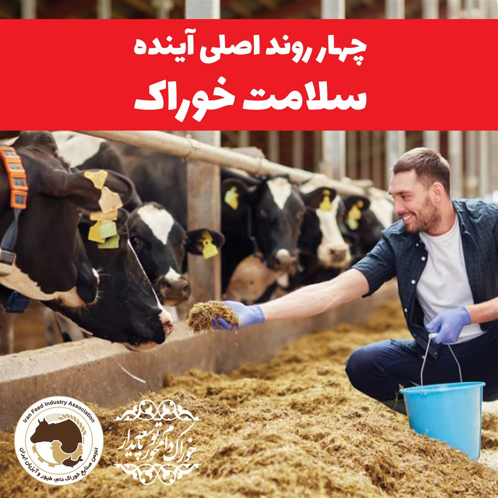 چهار روند اصلی آینده سلامت خوراک