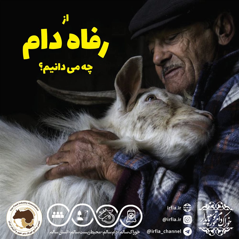 از رفاه دام چه می دانیم؟