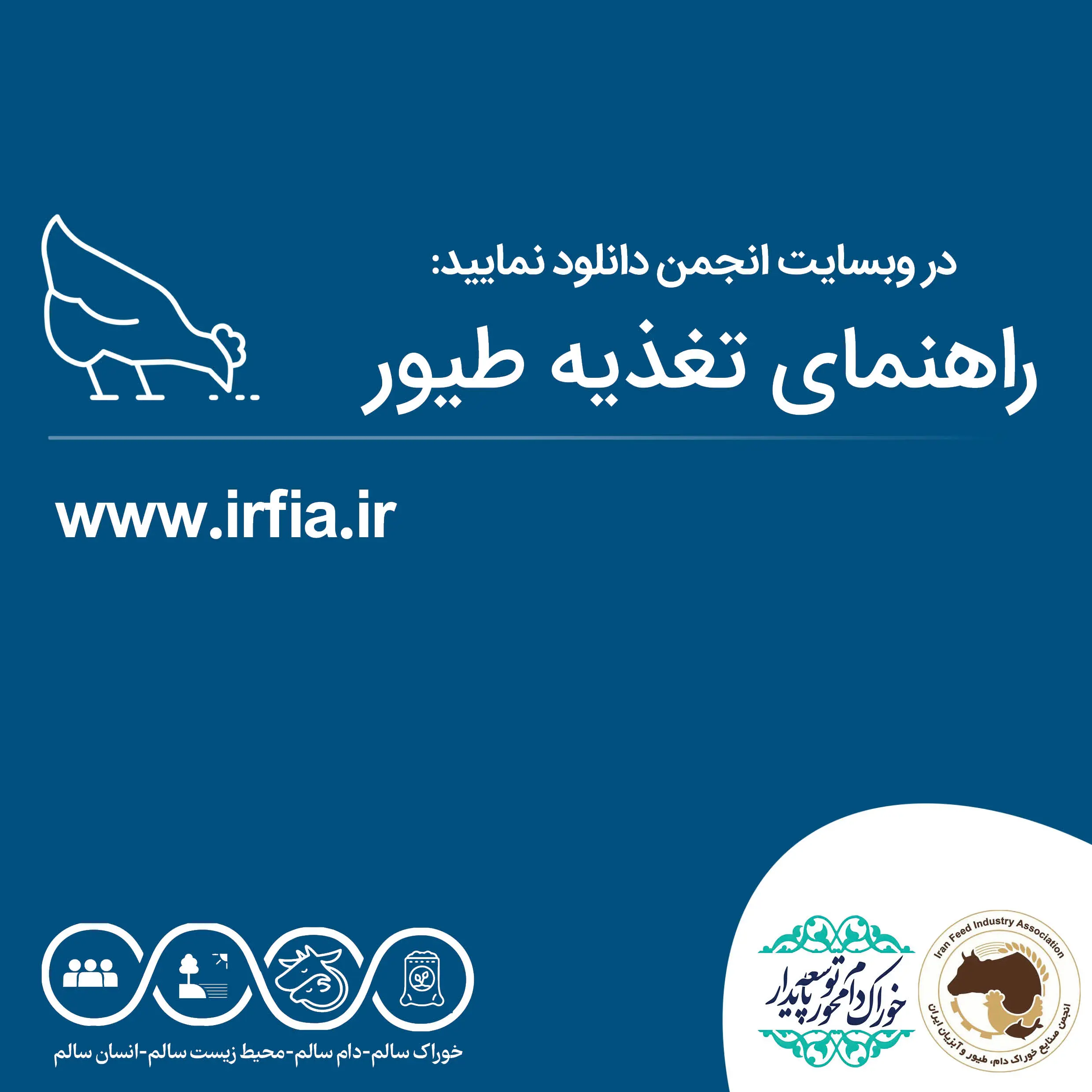 راهنمای تغذیه طیور