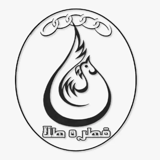 قطره طلای نوشهر