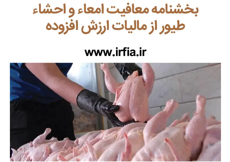 بخشنامه معافیت امعاء و احشاء طیور از مالیات ارزش افزوده