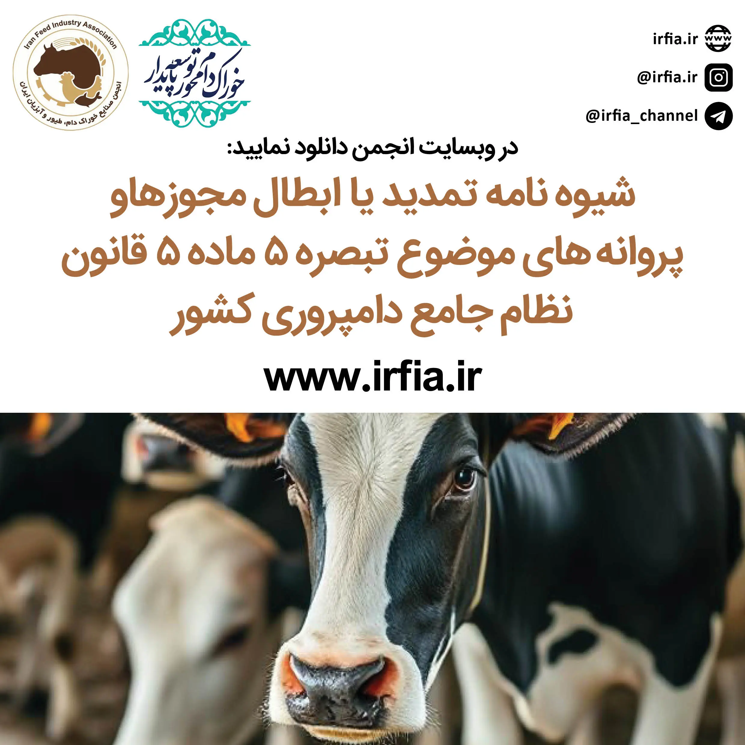 شیوه