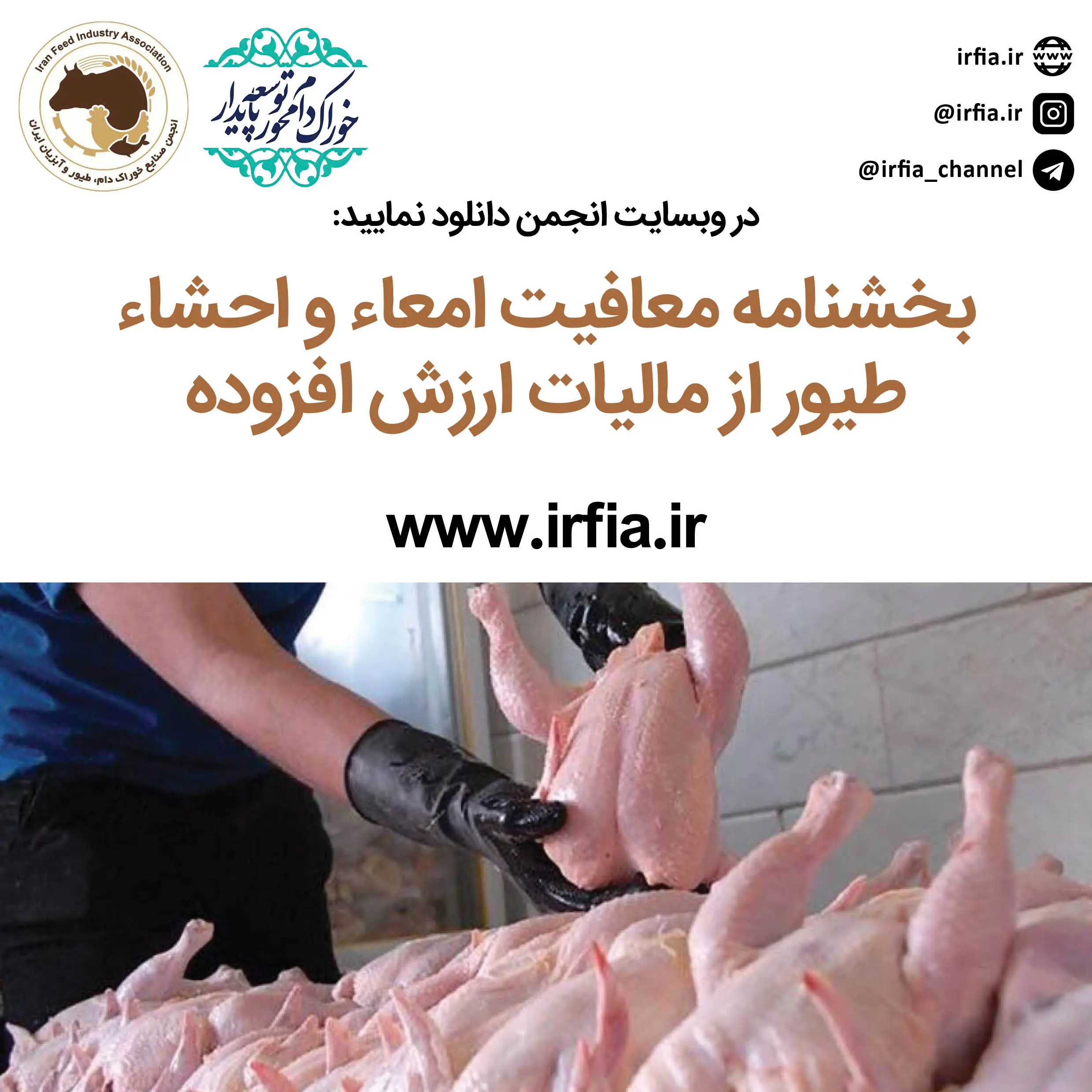بخشنامه