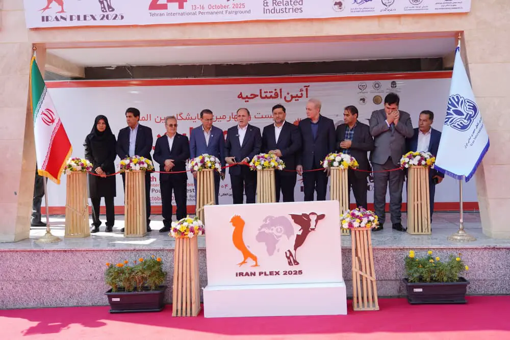 بیست‌وچهارمین